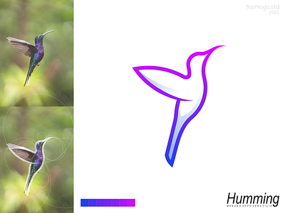 Humming Bird Logo animals app bird brand branding clean color design identity illustration lettering logo minimal minimalist modern simple vector