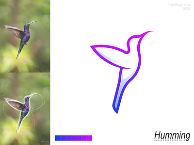 Humming Bird Logo