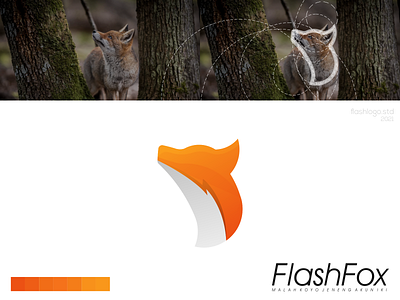 Flash Fox Logo