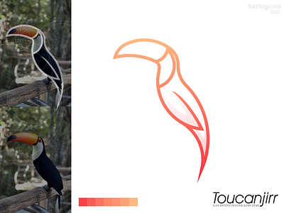 Toucanjirr Logo animals app brand branding clean design grid identity illustration lettering logo minimal modern simple toucan vector