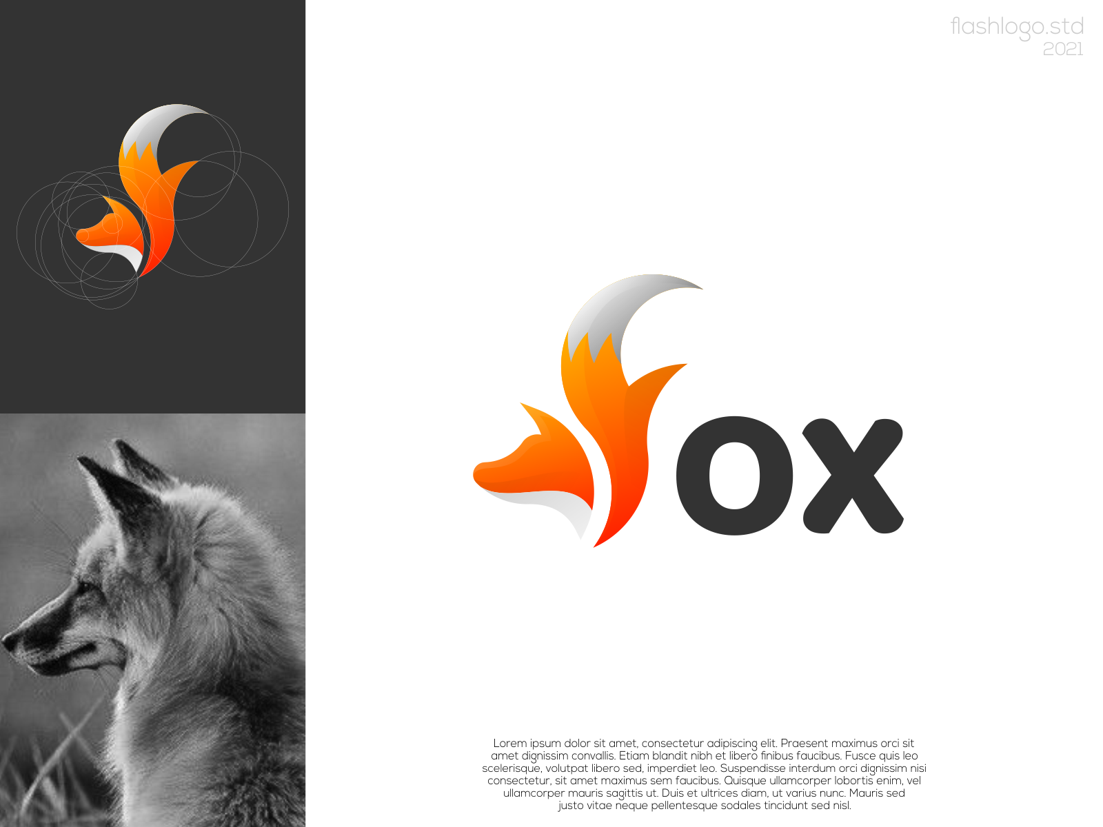 Fox Logo by Flashlogo Studio on Dribbble