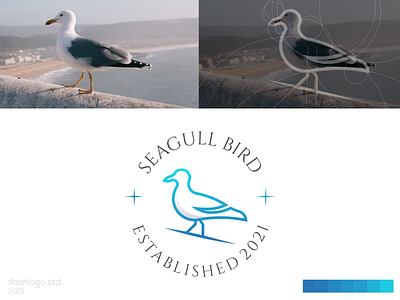 Seagull Logo animals app bird brand branding clean design elegant identity illustration lettering logo minimal minimalist modern seagull simple vector