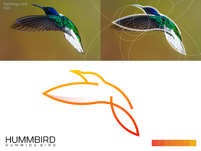 Hummbird Logo animals app brand branding clean color design elegant grid humming bird identity illustration lettering logo minimal modern simple vector