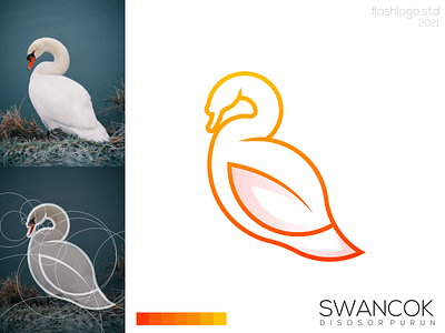 Swancok Logo animals app brand branding clean color design elegant goose grid identity illustration lettering logo minimal modern simple swan vector