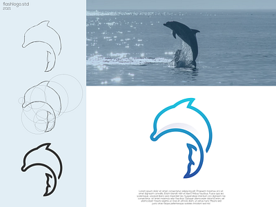 Dolphinjol Logo app awesome brand branding clean design dolphin elegant grid identity illustration lettering logo minimal modern ocean process sea simple vector