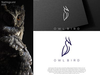 Owl Bird Logo