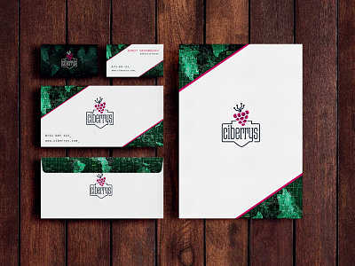 Branding Ciberrys branding business businesscard design logo logodesign