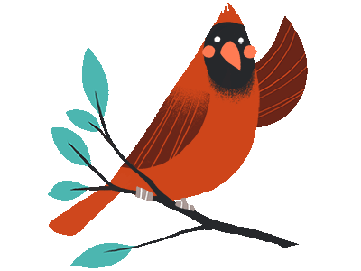Hello! bird cardinal gif hello illustration imo sticker