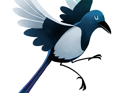 Magpie