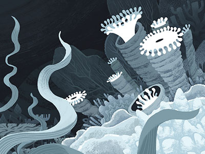 Undersea Landscape coral coral reef illustration ocean sea sea life undersea underwater