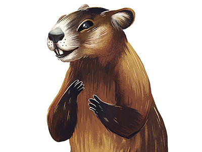 Groundhog animal groundhog illustration rodent wildlife woodchuck