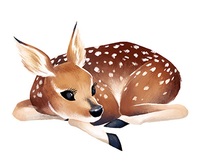 Fawn baby deer deer fawn illustration whitetail wildlife