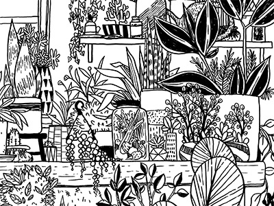 Potting Shed drawing gardening houseplants illustration ink lineart nature plants