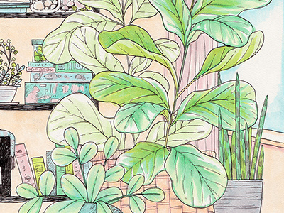 Plant Shelfie copics drawing fiddle leaf fig fig houseplants illustration ink markers plants traditional