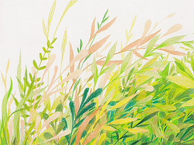 Enter botanical colored pencil drawing green illustration leaves nature plants