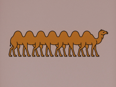 Complex Camel