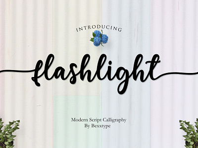 NEW Flashlight Script | Calligraphy branding crafs fancy font fonts illustrator qoutes typography vector wedding