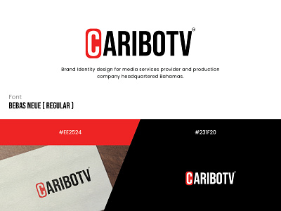 CARIBOTV animation app design brand identity design illustration logo logo design uiux vector website