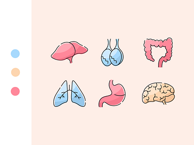 Anatomy icons adobe illustrator anatomical anatomy biology body design designe flat icon icon design icons icons set illustration illustrator organs