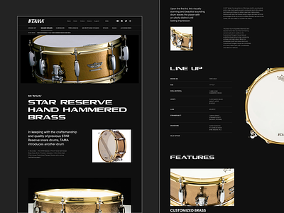 Snare Drums. UX/UI. Tama branding concept design drum drums graphic design interection minimalism mobile music shop site snare drums store tama ui ux web web design