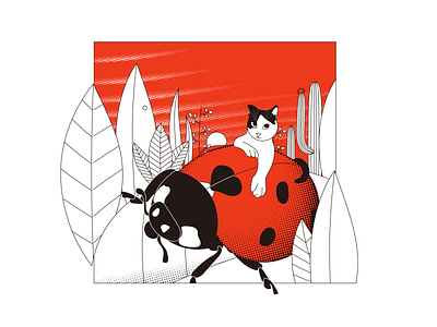 Cat & Ladybug