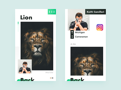 Tittle: Photo detail page by Bucopy on Dribbble