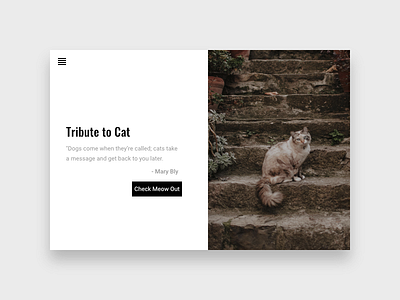 Tribute To Cat affinity app black cat design designer font software ui ux web white