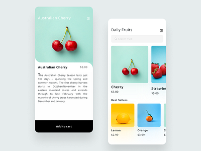 Fruit App UI