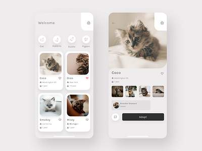 🙀 Pet Adoption App 🐱