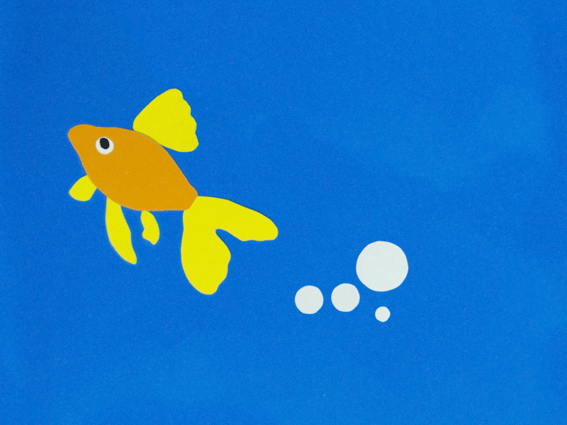 Fish stopmotion animation fish gif paper stopmotion williod