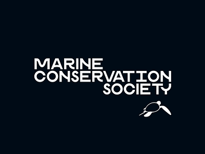 Marine Conservation Society tutle 3d animation bubbles kirilov logo rig turtle underwater