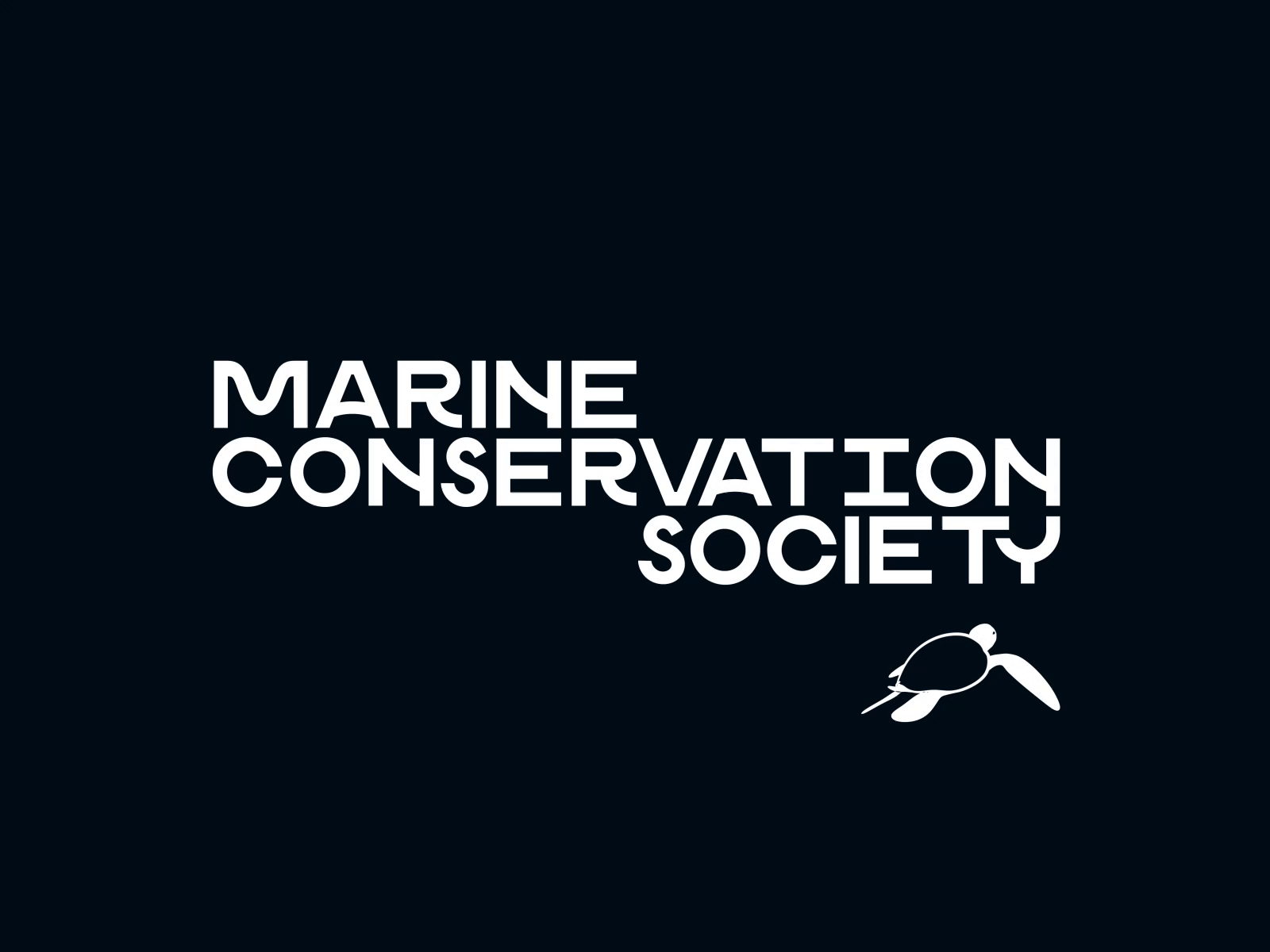 Marine Conservation Society tutle by Valentin Kirilov on Dribbble