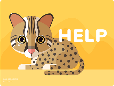 Leopard Cat