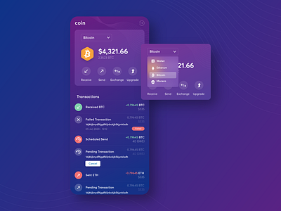 Crypto wallet app concept