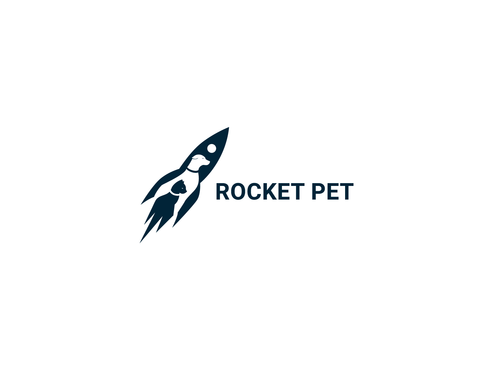 rocket pet by HUSSNAIN GRAPHICS on Dribbble