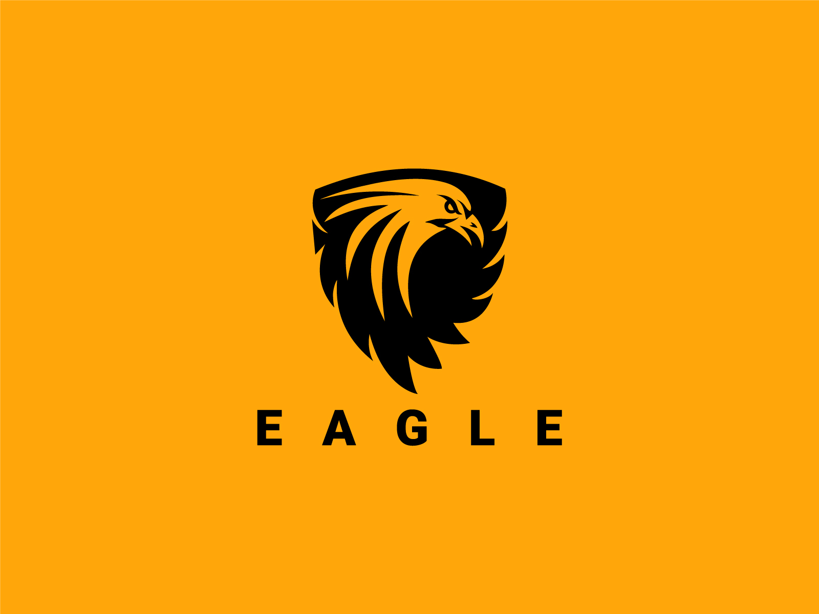 Eagle Logo by HUSSNAIN GRAPHICS on Dribbble