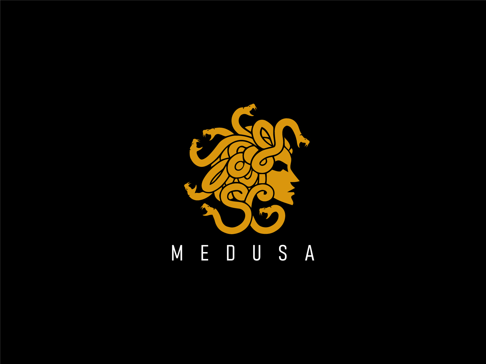 Medusa Logo by HUSSNAIN GRAPHICS on Dribbble