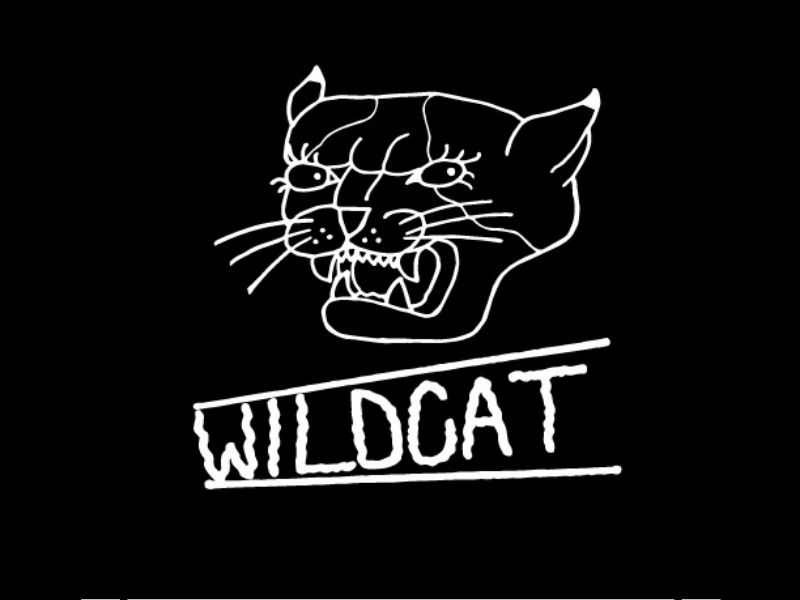 Wildcat by Kaitlen Seals on Dribbble