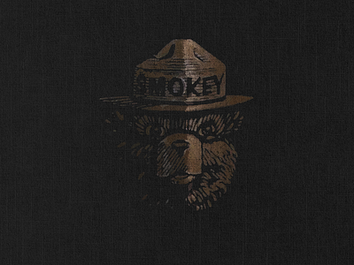 Smokey Bear branding design icon linen logo mascot minimal smokey smokeybear texture vector