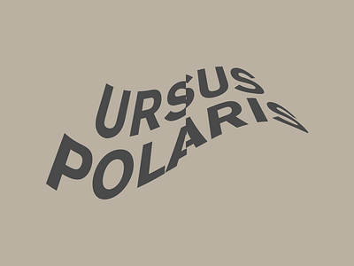 Ursus Polaris Graphic