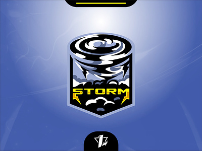 Storm brand branding design designer esport logo flat design graphic design icon illustration logo logo design logo sport mascot storm ui vector