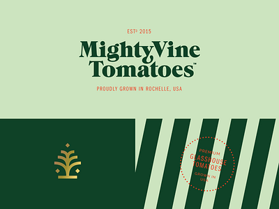 Tomato Company branding foil gold mighty stripe tomato type vine