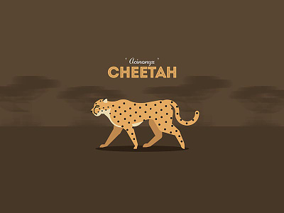 The Cheetah africa animal animal illustration carnivores cheetah design joyflap