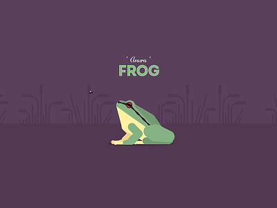 The Frog amphibians animal frog green illustration joyflap