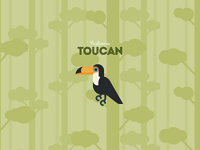 The Toucan