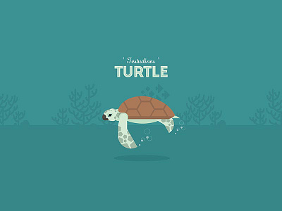 The Turtle animal illustration joyflap ocean sea sea turtle turtle