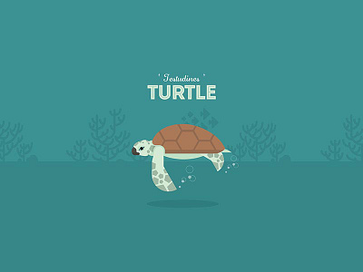 The Turtle