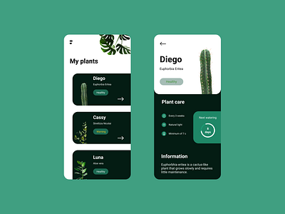 Practice Exercise app design figma illustration mobile app design plants product page ui ux