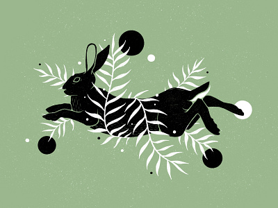 Botanical Hare Illustration botanical bunny digital illustration hare illustration illustrator procreate rabbit