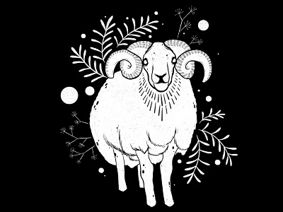 Botanical Sheep Illustration
